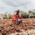 Bild einer afrikanischen Bäuerin am Feld