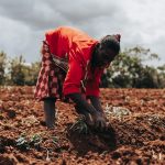 Bild einer afrikanischen Bäuerin am Feld